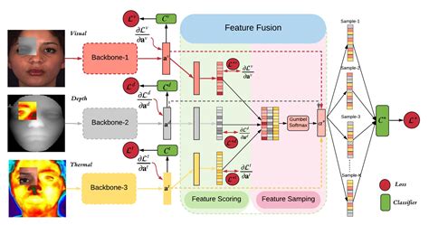 Adaptive Multimodal Fusion For Facial Action Units Recognition