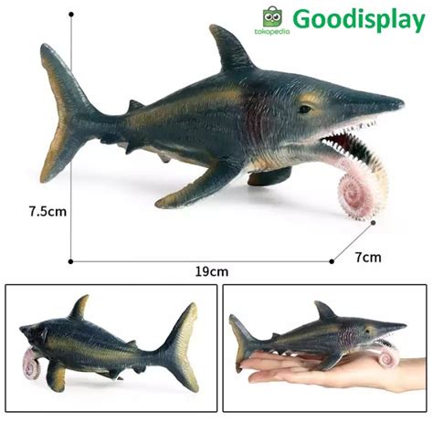 Jual Mainan Pajangan Hewan Dinosaurus Megalodon Hiu Purba Helicoprion