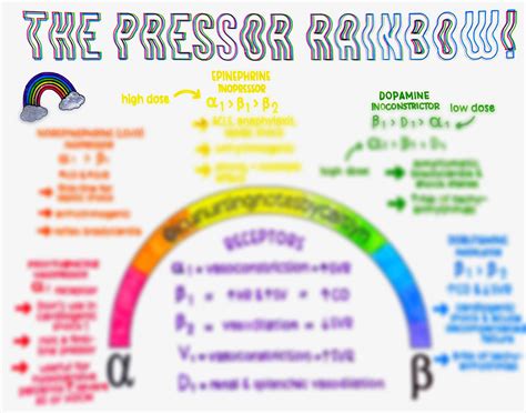 The Pressor Rainbow - Etsy