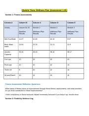 Wellness Plan Rtf Module Three Wellness Plan Assessment