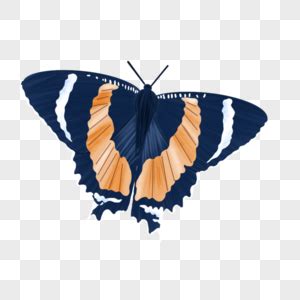 Mariposa Azul PNG Imágenes con Fondo Transparente Descarga Gratuita