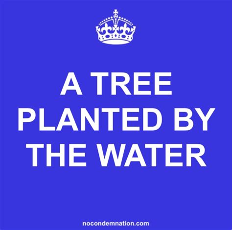 A tree planted by the water – No Condemnation