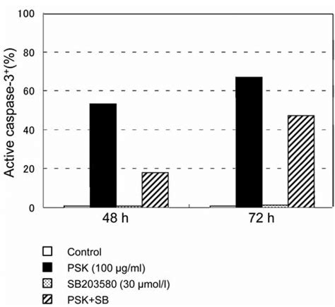 Effects of a p38 MAPK inhibitor, SB203580, on caspase-3 activation ... 
