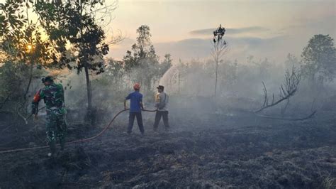 Maraknya Karhutla Di Indonesia BNPB 99 Persen Faktor Manusia Teras7