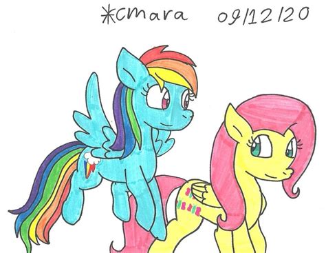 2379335 Safe Artist Cmara Derpibooru Import Fluttershy Rainbow