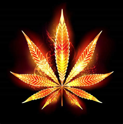 Cannabis Leaf Illustrations Royalty Free Vector Graphics And Clip Art