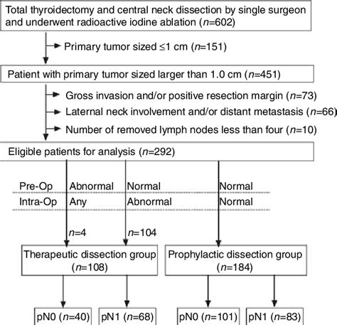 Figure 1 From The Prognostic Value Of The Metastatic Lymph Node Ratio