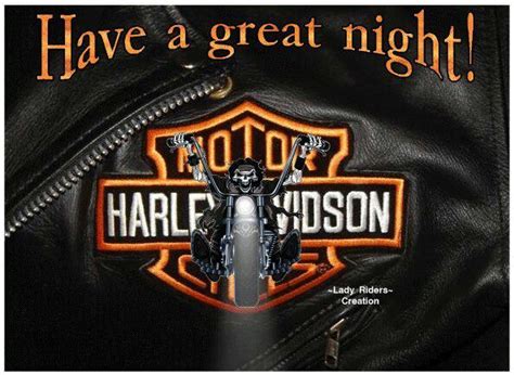 Pin By Penny Frost On Motorcycles If I Have To Explain You Wouldn T Understand Harley Davidson