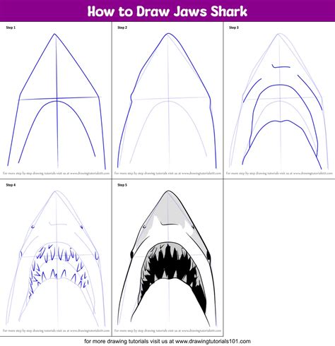 Shark Jaws Drawing