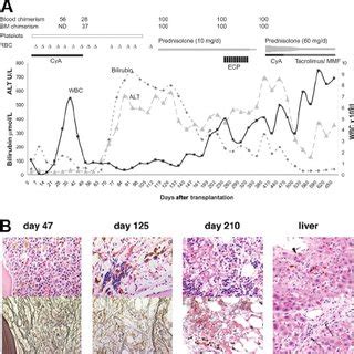 Clinical And Histologic Analysis Of Recovery After Transplantation A