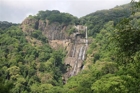 Tourist Attractions In Udzungwa Mountains National Park Tanzania