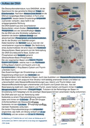 Zellbiologie Klausur 1 mit Lösungen Klausur zur Vorlesung