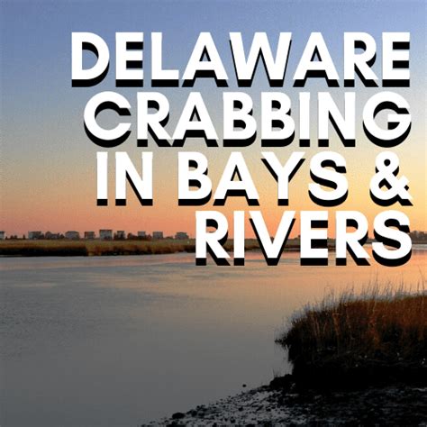 Where To Go Crabbing In Delaware The Complete Guide Crabbing Hub 2023