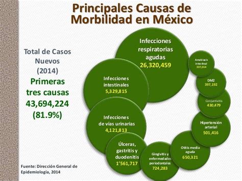 Las Enfermedades Un Abordaje Diferente