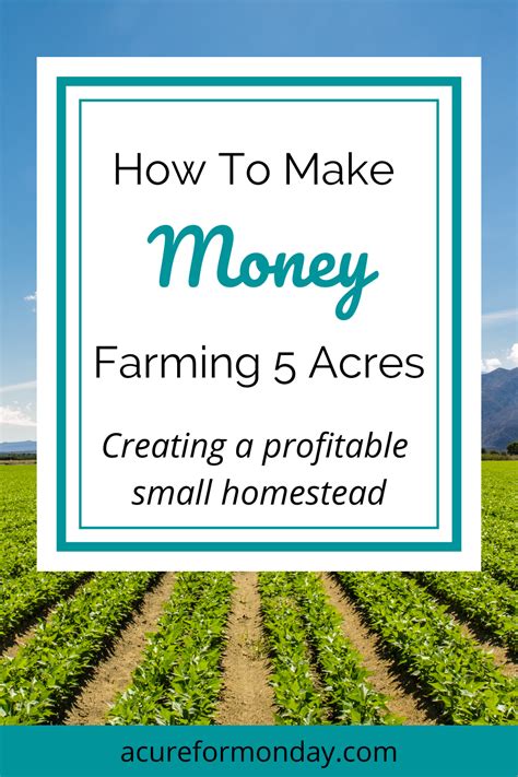 How To Make Money Farming 5 Acres Creating A Profitable Small