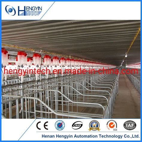 Hot Galvanized Steel Pig Pen Gestation Sow Crate For Sale China Pig