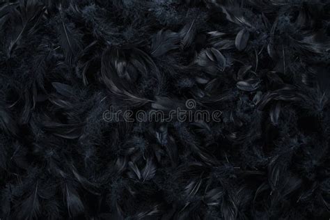 Abstract Black Feather Background, Texture Stock Image - Image of high ...