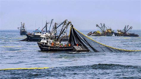 Nueva Ley General de Pesca cuáles son los principales puntos de la