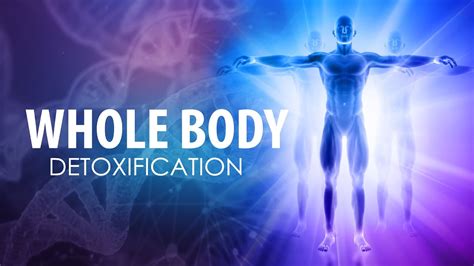 Whole Body Detoxification Extremely Powerful Physical Mental And Spiritual Healing Binaural