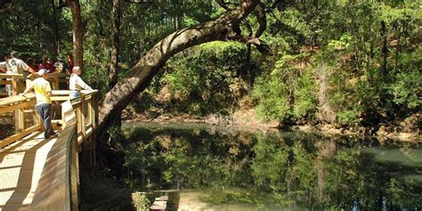 People Standing On A Wooden Bridge Over A Body Of Water