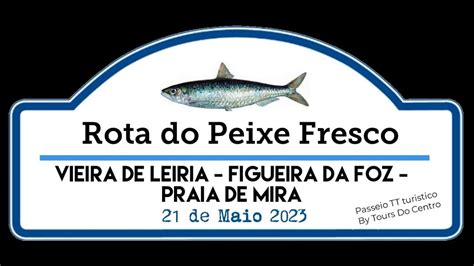 Rota Do Peixe Fresco Youtube