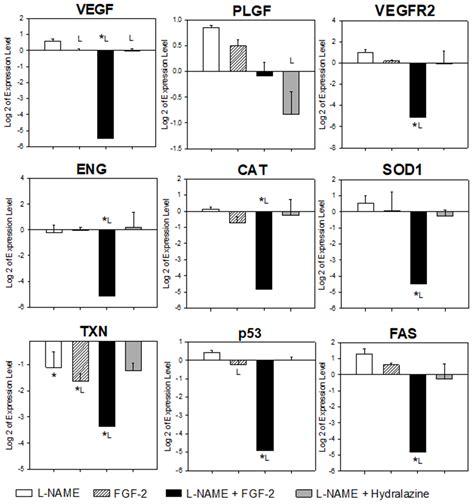 Ijms Free Full Text Evaluation Of The Effect Of The Fibroblast