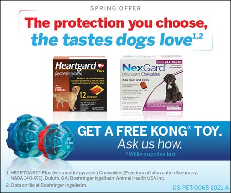 Promotions Green Mountain Animal Hospital