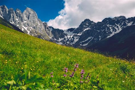 Premium Photo | Wildflowers in juta valley