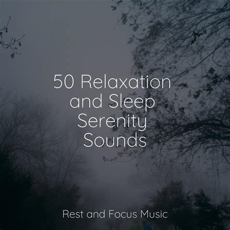 Amazon Music Unlimited The Sleep Helpers Rising Higher Meditation