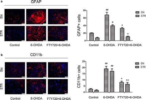 Fty Attenuates Ohda Induced Astrocyte And Microglia Activation