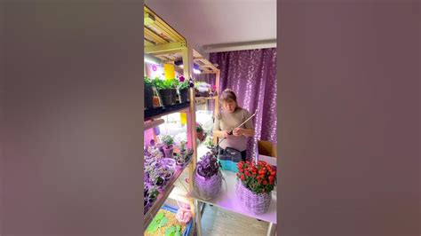 Супер решение для тесных условий Полив и подкормки с помощью аккум ...