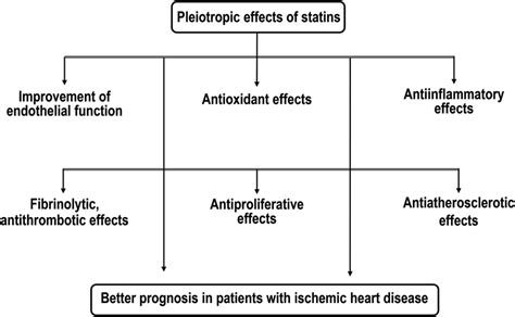 Pleiotropic Effects Of Statins Contributing To A Better Prognosis In