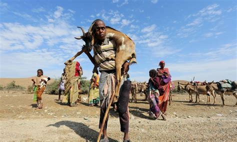 Honger In Afrika NRC