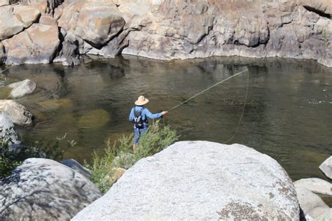 24 Best Fishing Spots Near Visalia And Sequoia National Park Best