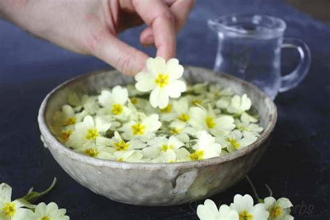 How to make flower essences - SimplyBeyondHerbs