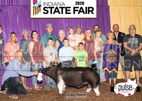 Indiana State Fair Top 5 Market Barrows The Pulse