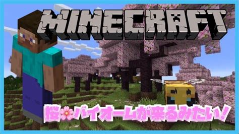 マイクラ！！雑談しながらお家をつくる！！！素材集めたり建築したり街づくり！ マインクラフトpart18 Minecraft Summary