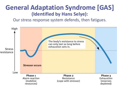 General Adaptation Syndrome Gas Ib Psychology