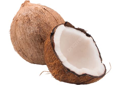 Coco Realista E Delicioso Vetor PNG Coco Plantar Realista PNG