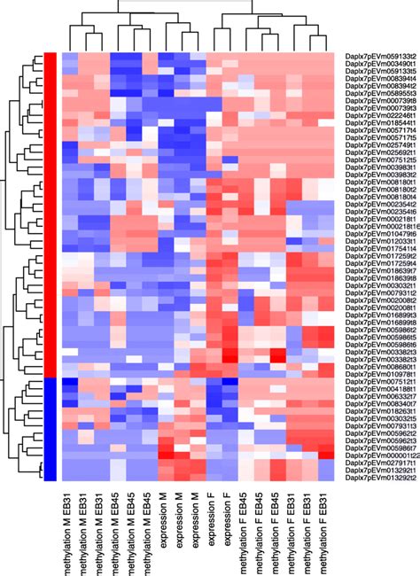 Heatmap Of Expression And Dna Methylation For The Transcripts That