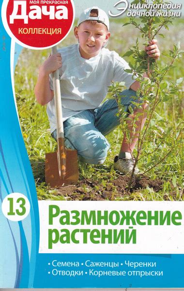 Размножение растений - купить с доставкой по выгодным ценам в интернет ...
