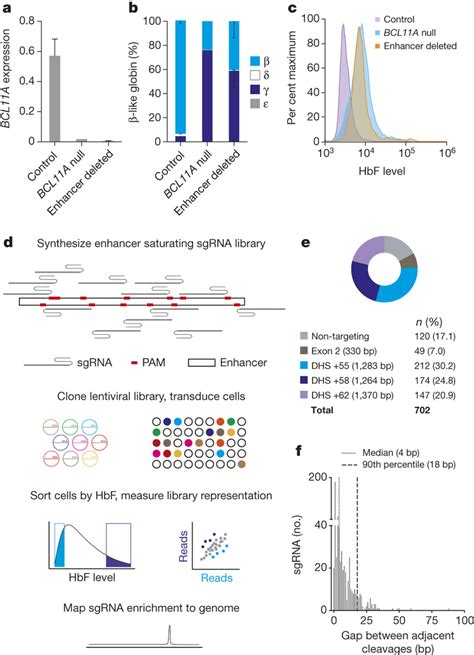 Tiled Pooled In Situ Crispr Cas Bcl A Enhancer Screen Ac Deletion