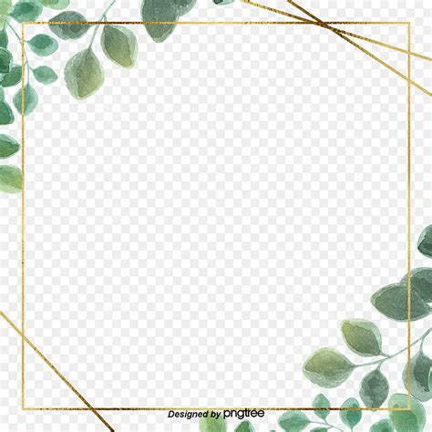 Green Simple Line Eucalyptus Leaf Border, Leaf, Eucalyptus, Eucalyptus Leaves PNG Transparent ...