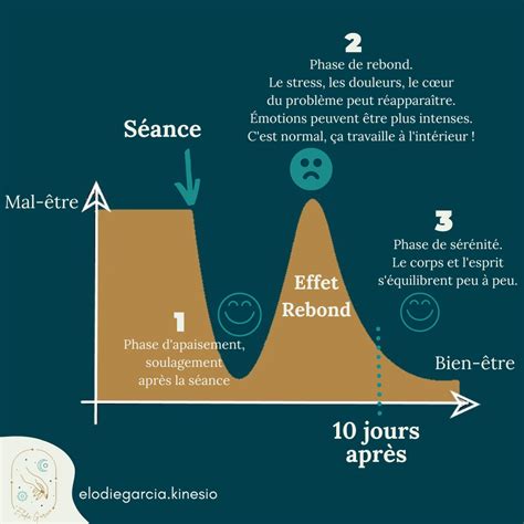 Qu Est Ce Que L Effet Rebond En Kin Siologie Et M Decine Douce