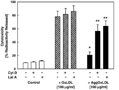 Effect Of Cytochalasin D Cyt D Or Latrunculin A Lat A On Oxldl