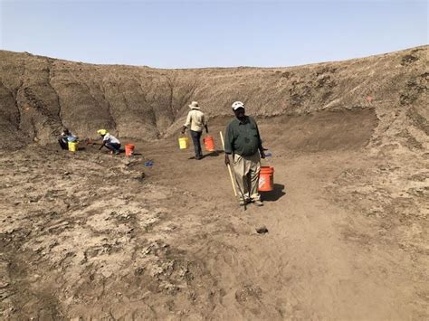 The Archaeology News Network: New archaeological sites discovered at Gona, Ethiopia ...