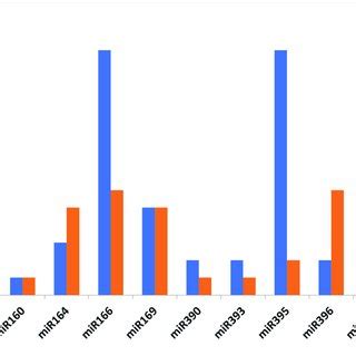 Tanglegram Of Predicted Mature Mirna And Target Mrna Sequences With