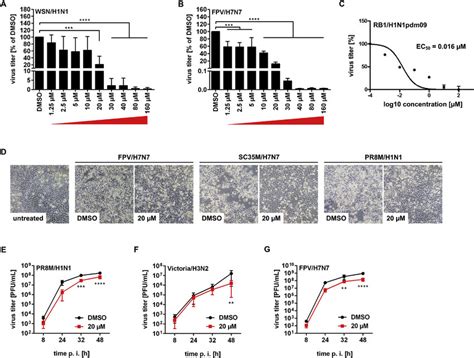 Inhibition of Raf/MEK/ERK signaling by the MEK inhibitor Trametinib ... 