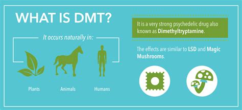 Is DMT addictive? Effects, Facts & More - Relevance Recovery