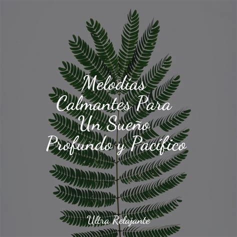 Melodías Calmantes Para Un Sueño Profundo y Pacífico Album by Musica